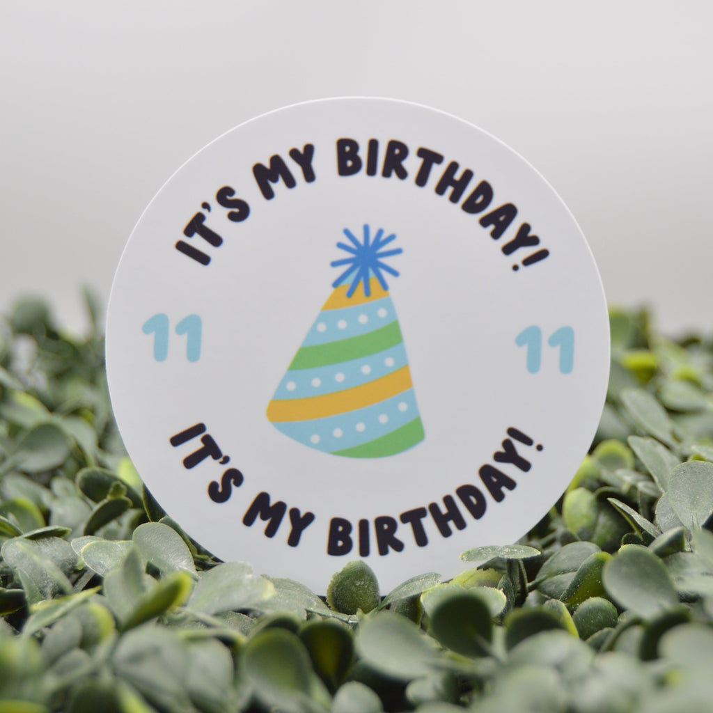 A round white sticker or decal with the text 'IT'S MY BIRTHDAY!' and '11' on both sides, featuring a colorful striped party hat illustration in the center. The sticker is displayed upright on a bed of green leaves against a soft gray background.