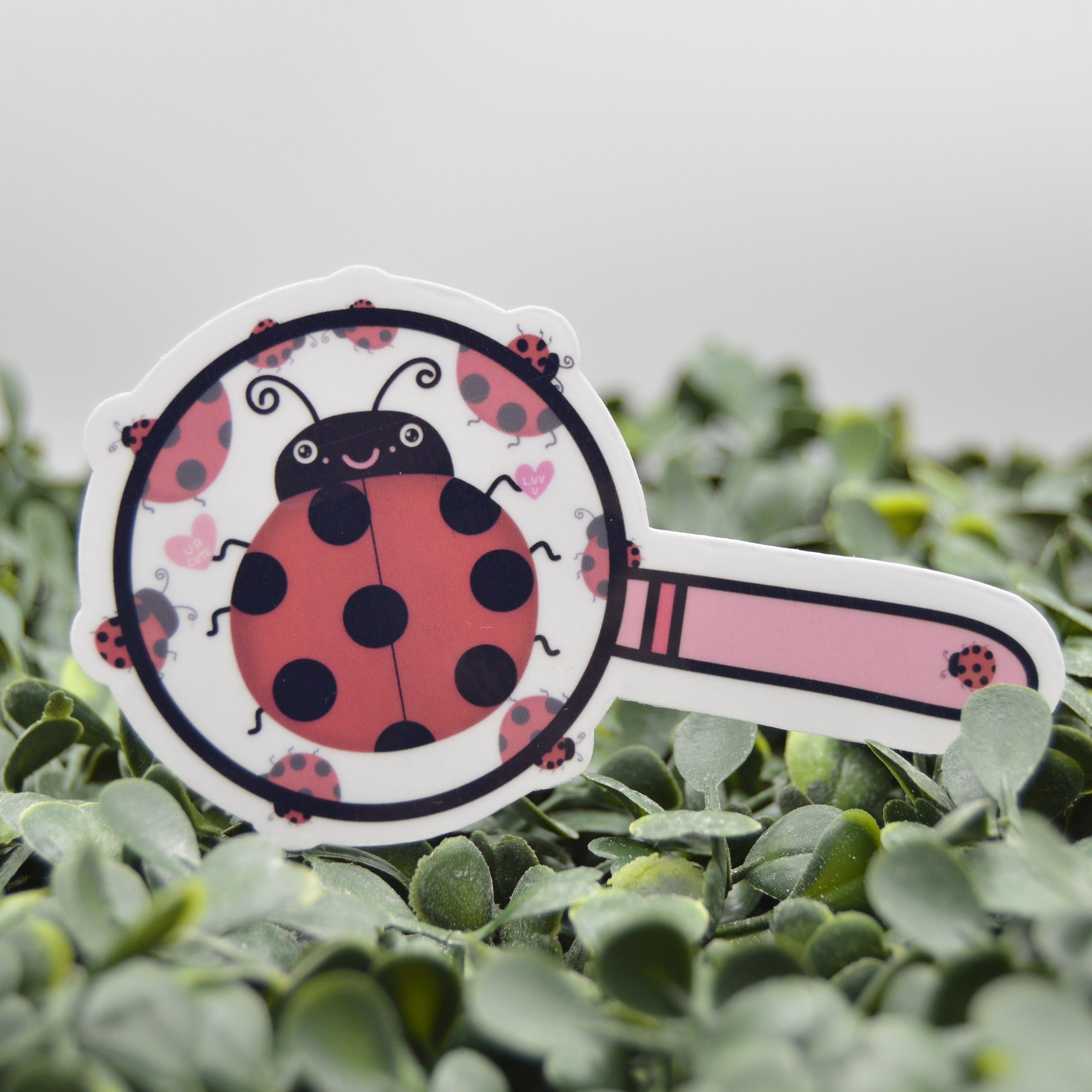 A die-cut sticker shaped like a magnifying glass featuring a cute ladybug design, resting on a bed of green succulent leaves.