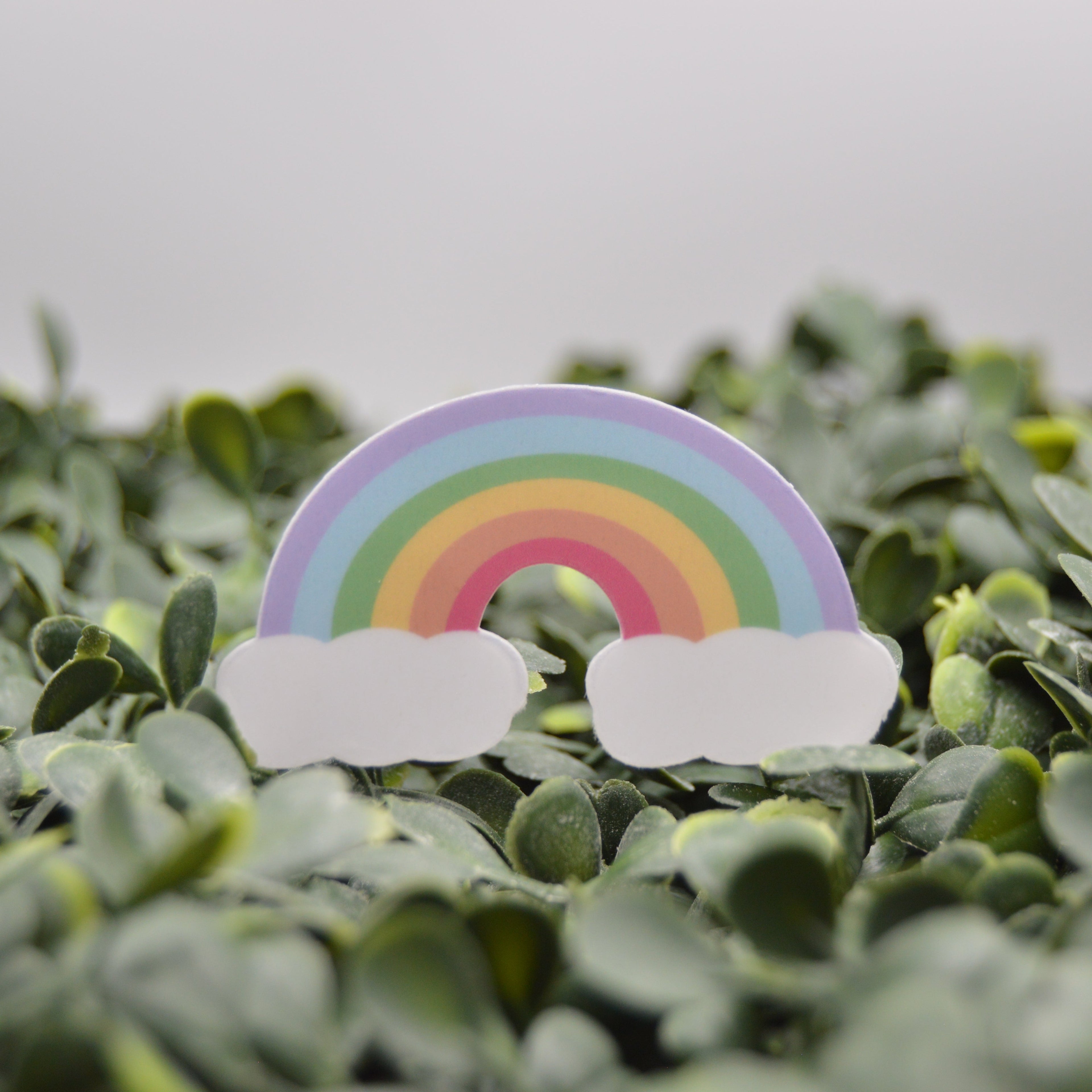 A small rainbow-shaped decorative item with white cloud-like shapes at the base, placed among dense green leaves against a soft light gray background.