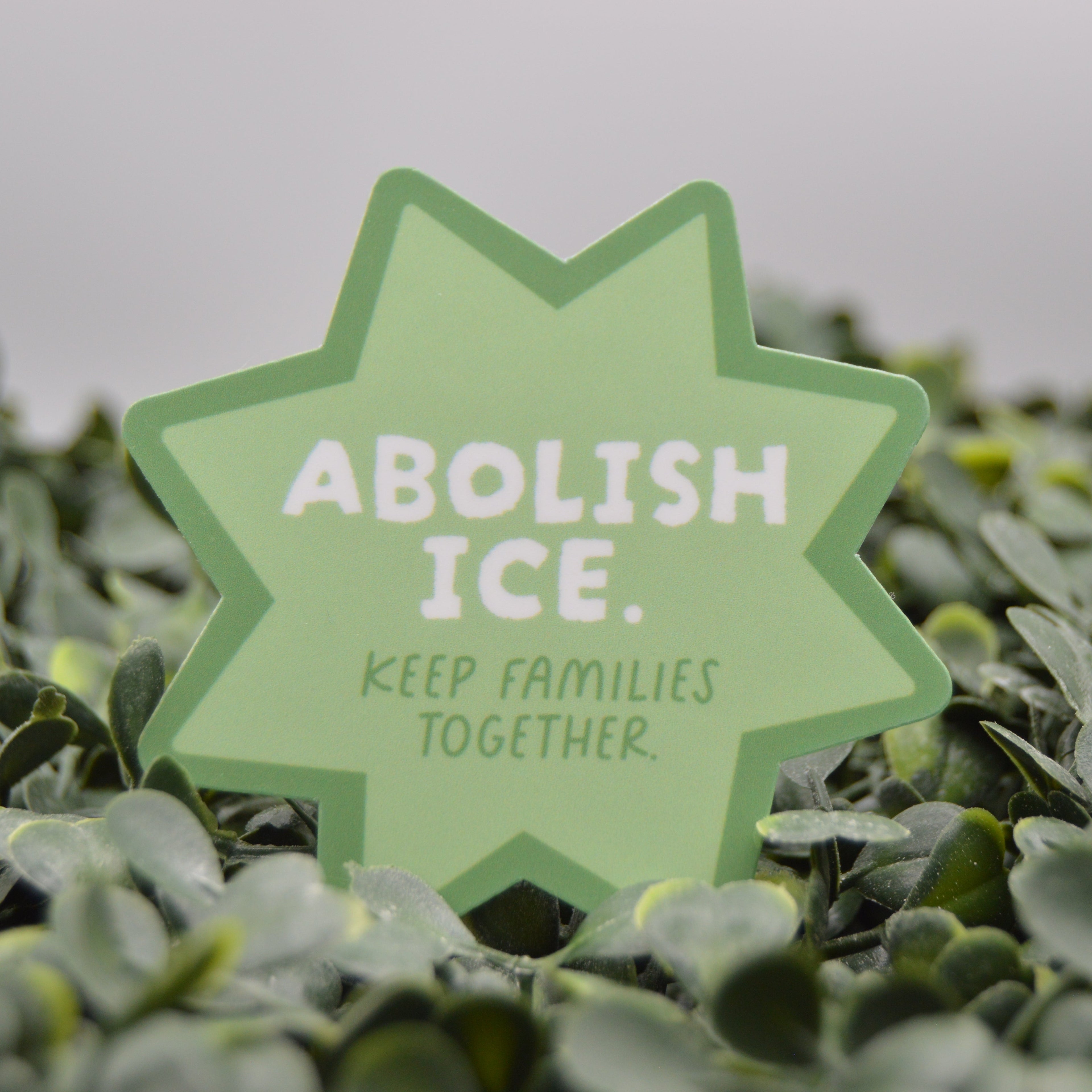 A light green star-shaped sign with the text 'ABOLISH ICE. KEEP FAMILIES TOGETHER.