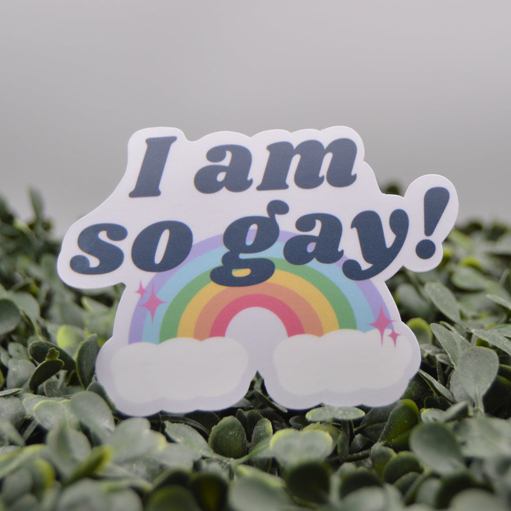 A die-cut sticker with the text 'I am so gay!' in dark blue lettering above a colorful rainbow and white clouds, displayed on green foliage against a soft gray background.