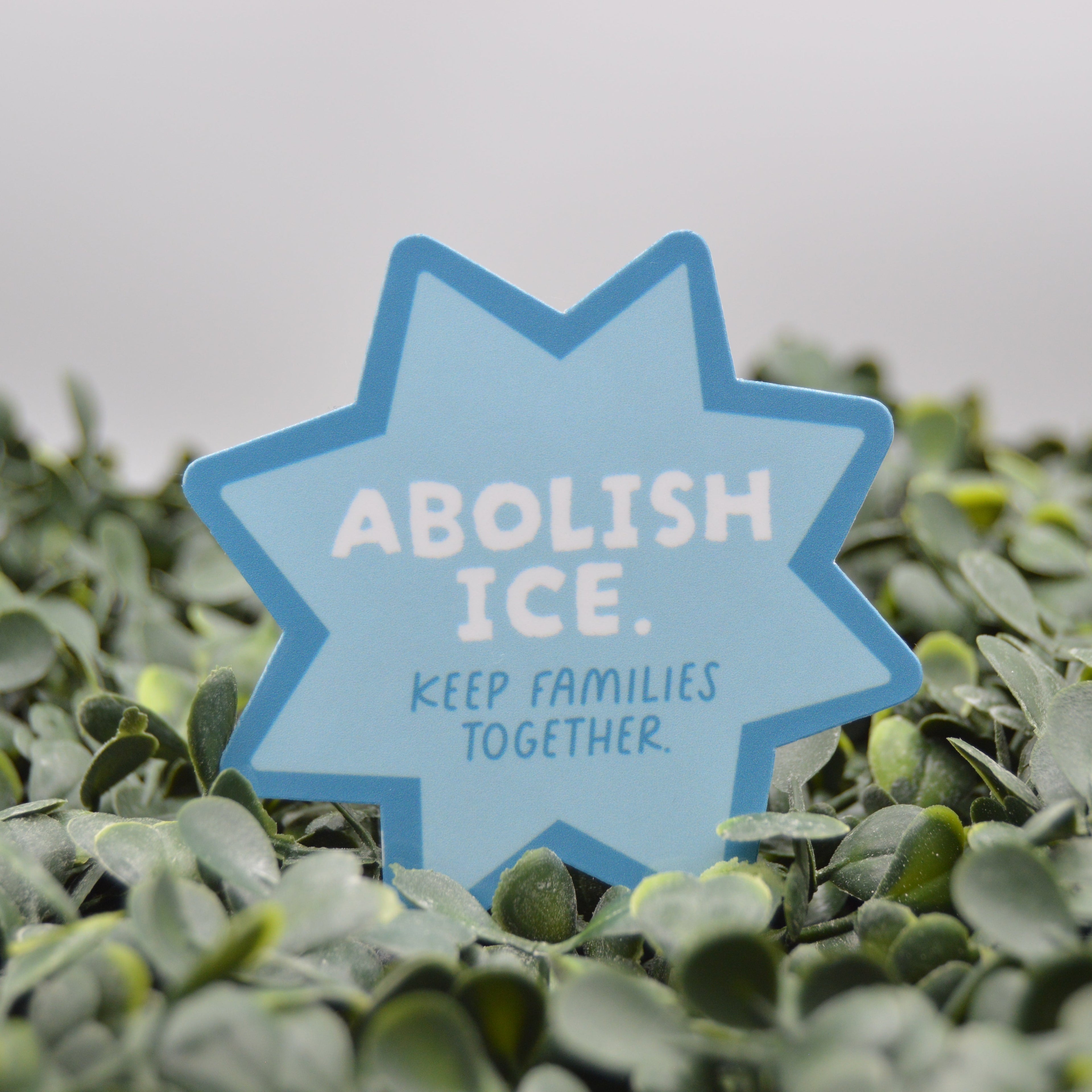 A light blue star-shaped sign with the text 'ABOLISH ICE. KEEP FAMILIES TOGETHER.