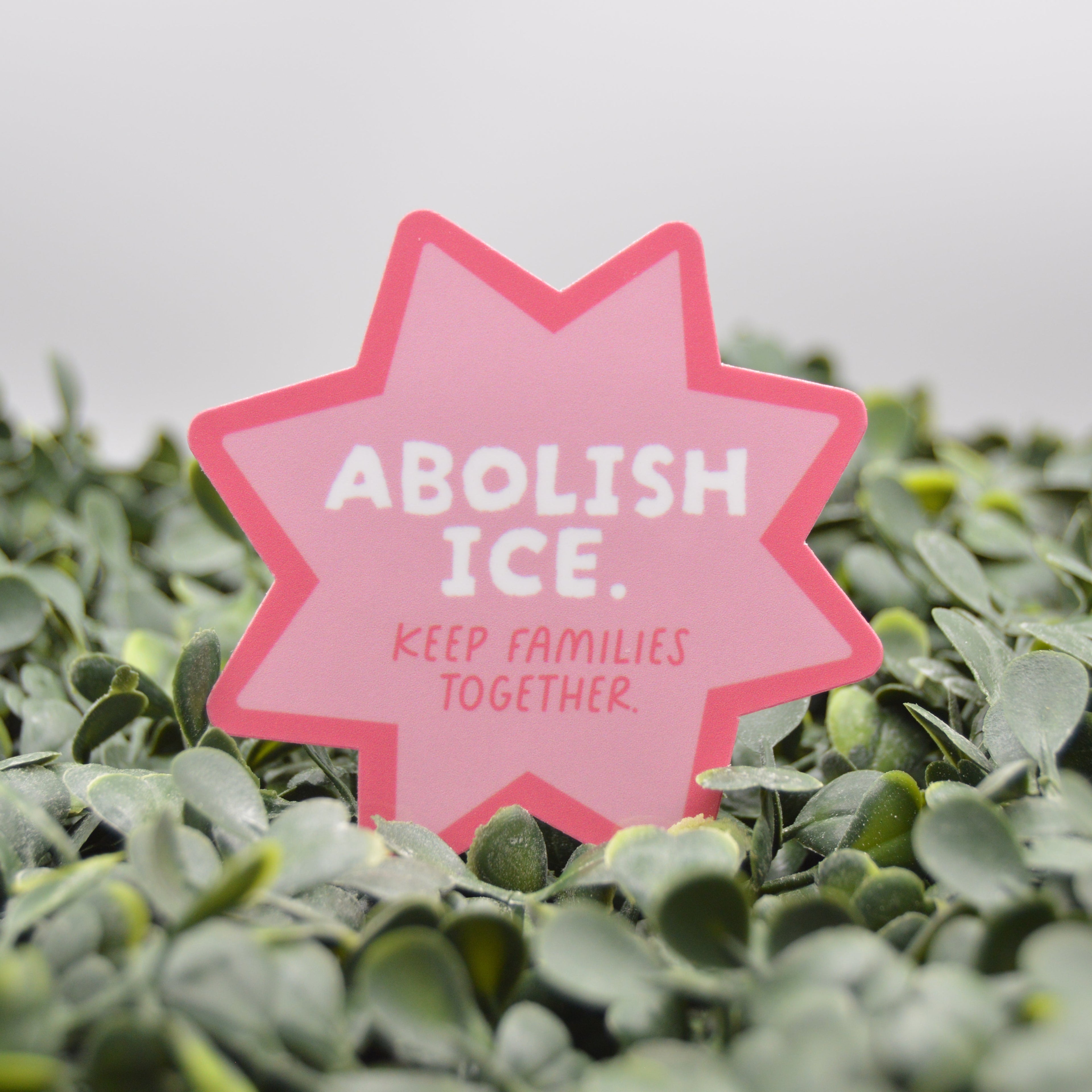 A pink star-shaped sign with the text 'ABOLISH ICE. KEEP FAMILIES TOGETHER' in white, placed among green leaves against a soft gray background.