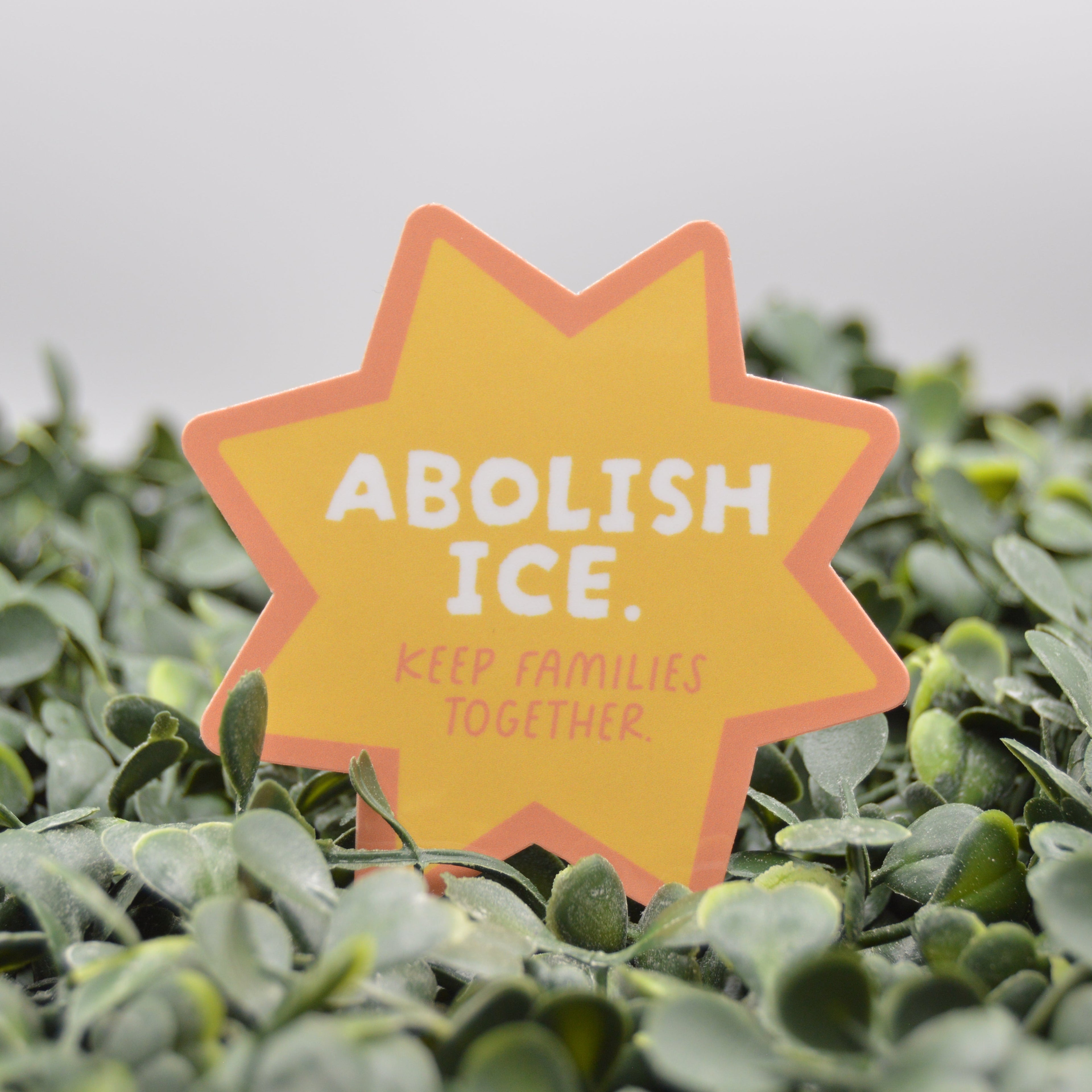 A yellow star-shaped sign with an orange border and the text 'ABOLISH ICE. KEEP FAMILIES TOGETHER' placed among green leaves against a light gray background.