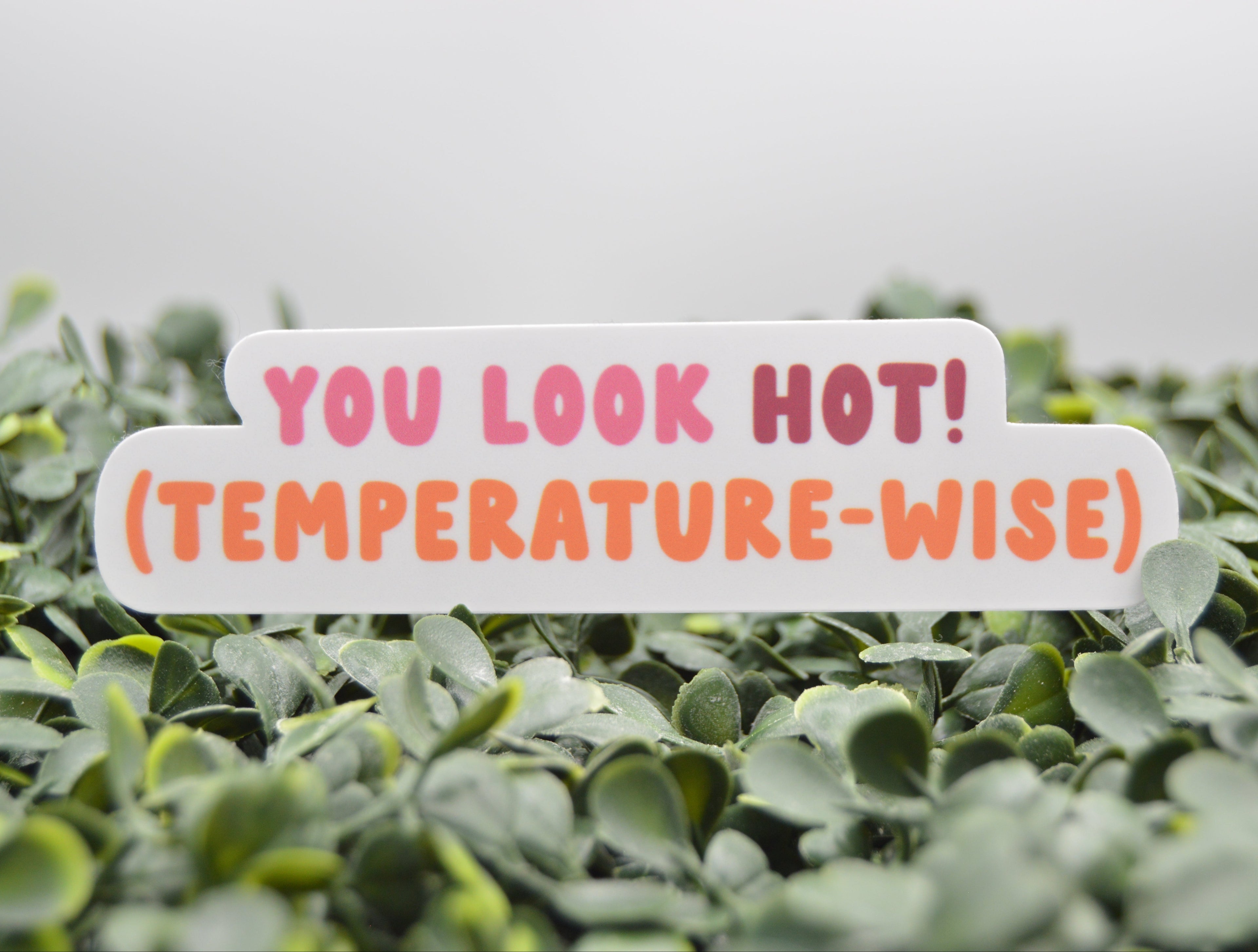 You Look Hot! Temperature-Wise! Sticker