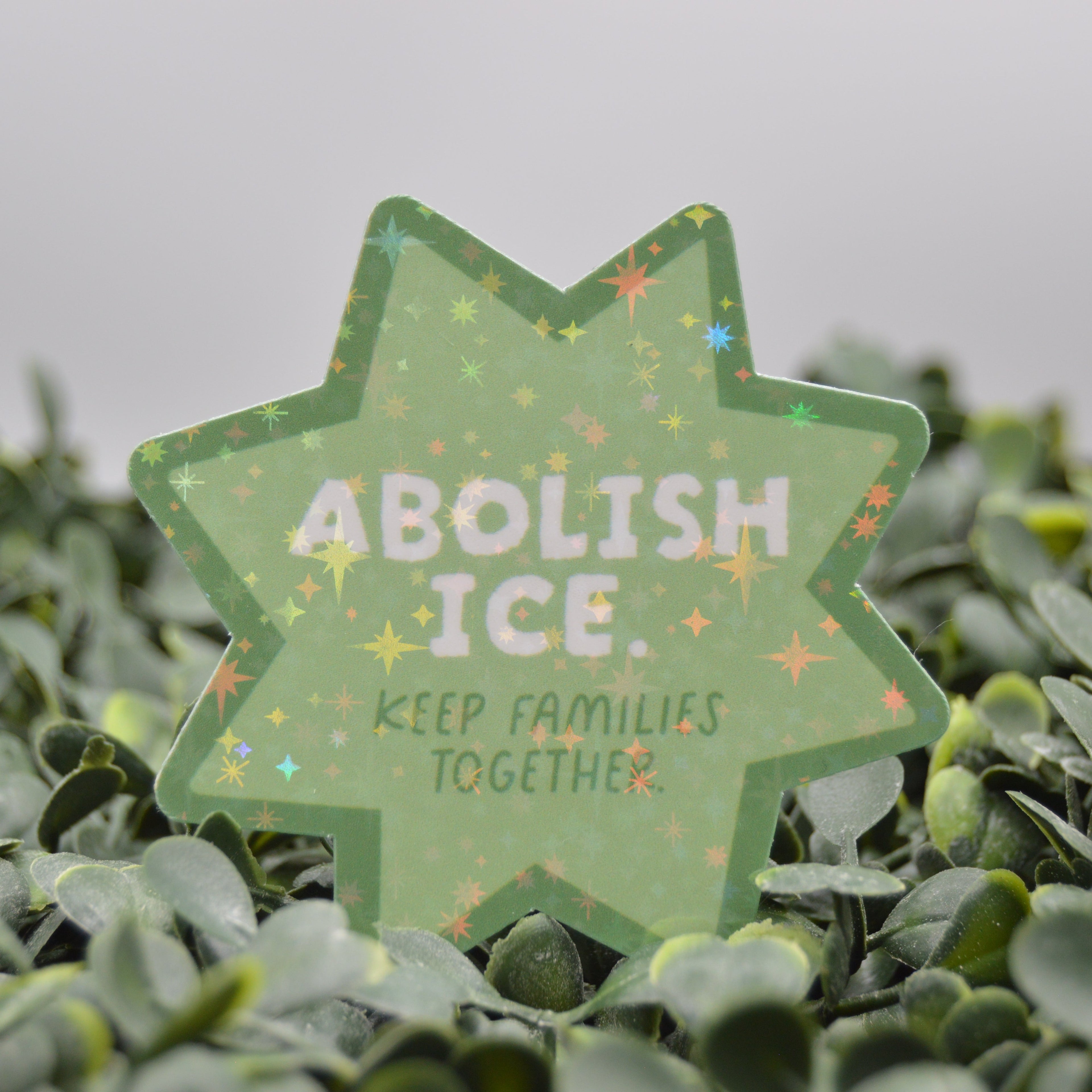 Green Star Shaped Sticker with white text reading "abolish ice, keep families together" on a blurred leaf background.