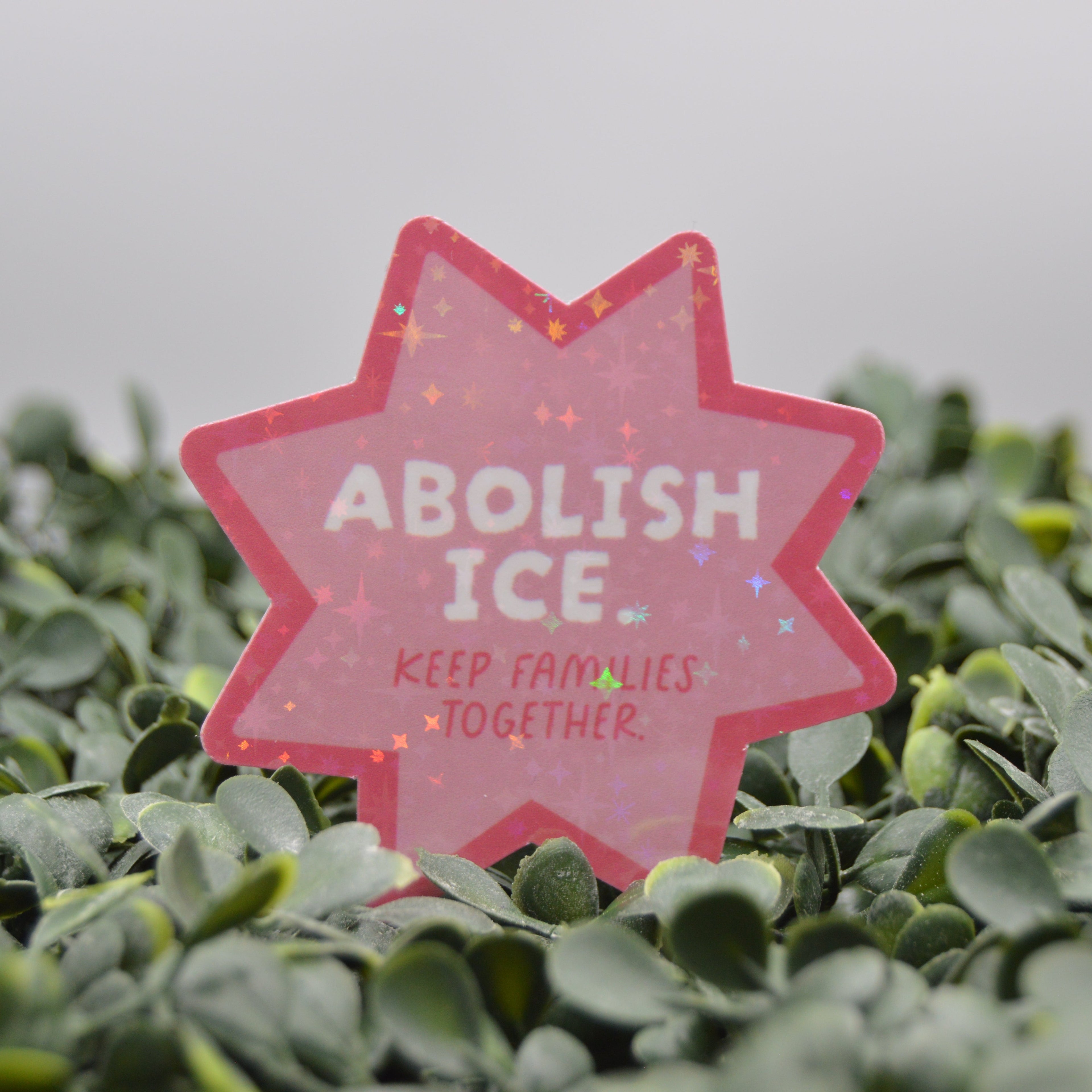 A pink glittery star-shaped sign with the text 'ABOLISH ICE. KEEP FAMILES TOGETHER.