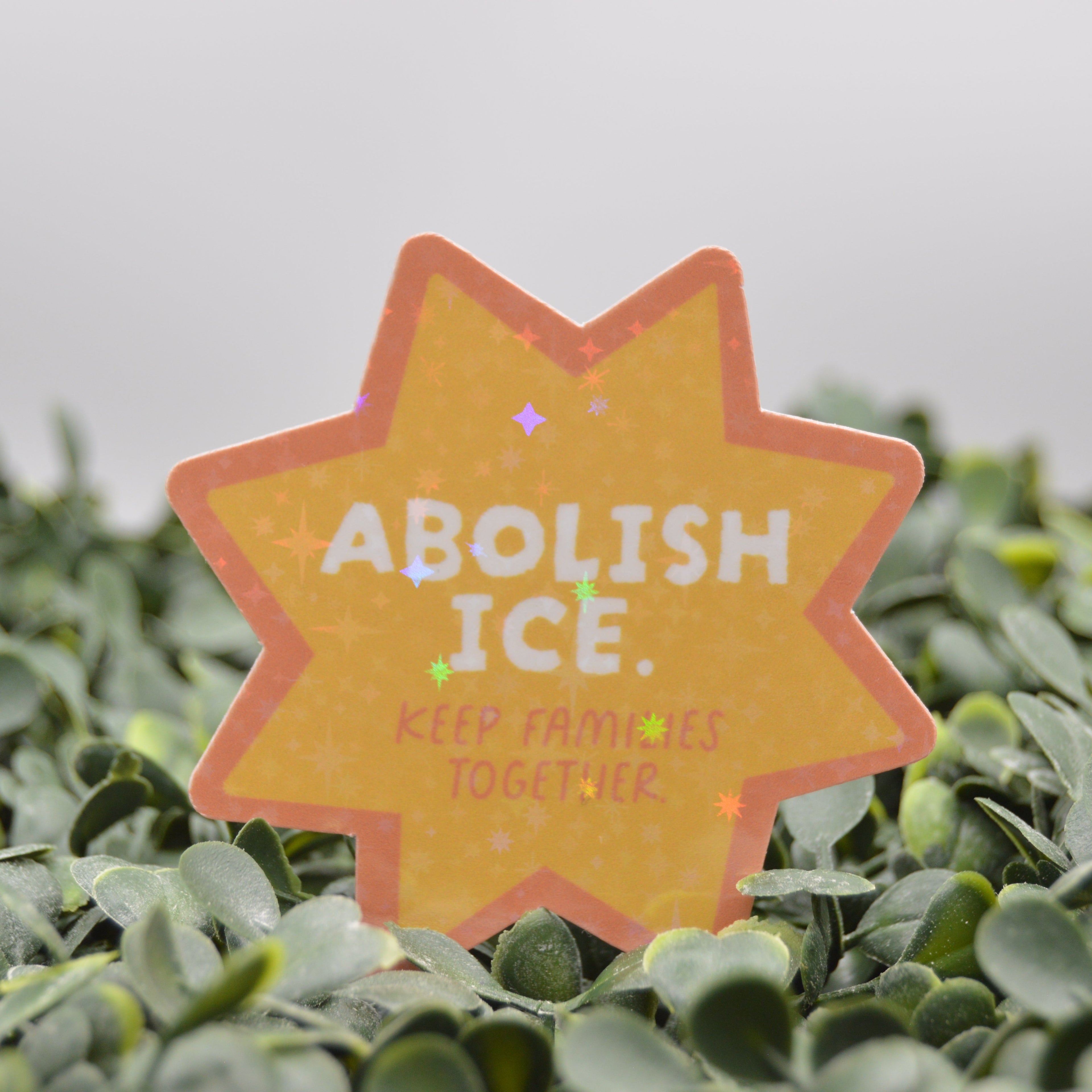 A star-shaped orange sign with the text 'ABOLISH ICE. KEEP FAMILIES TOGETHER.