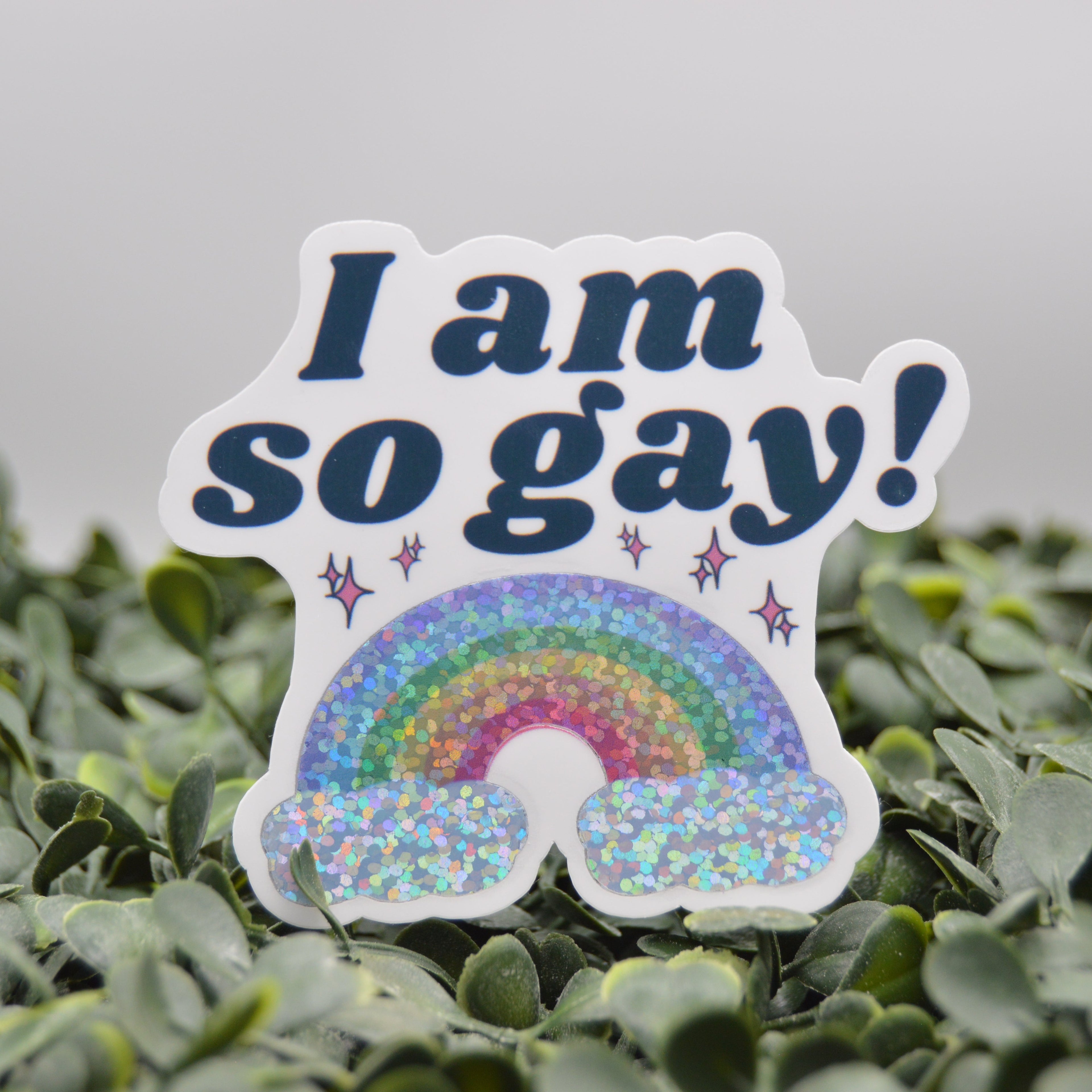 A die-cut sticker with the text 'I am so gay!' in dark blue lettering above a glittery rainbow and sparkles, displayed on green foliage against a soft gray background.