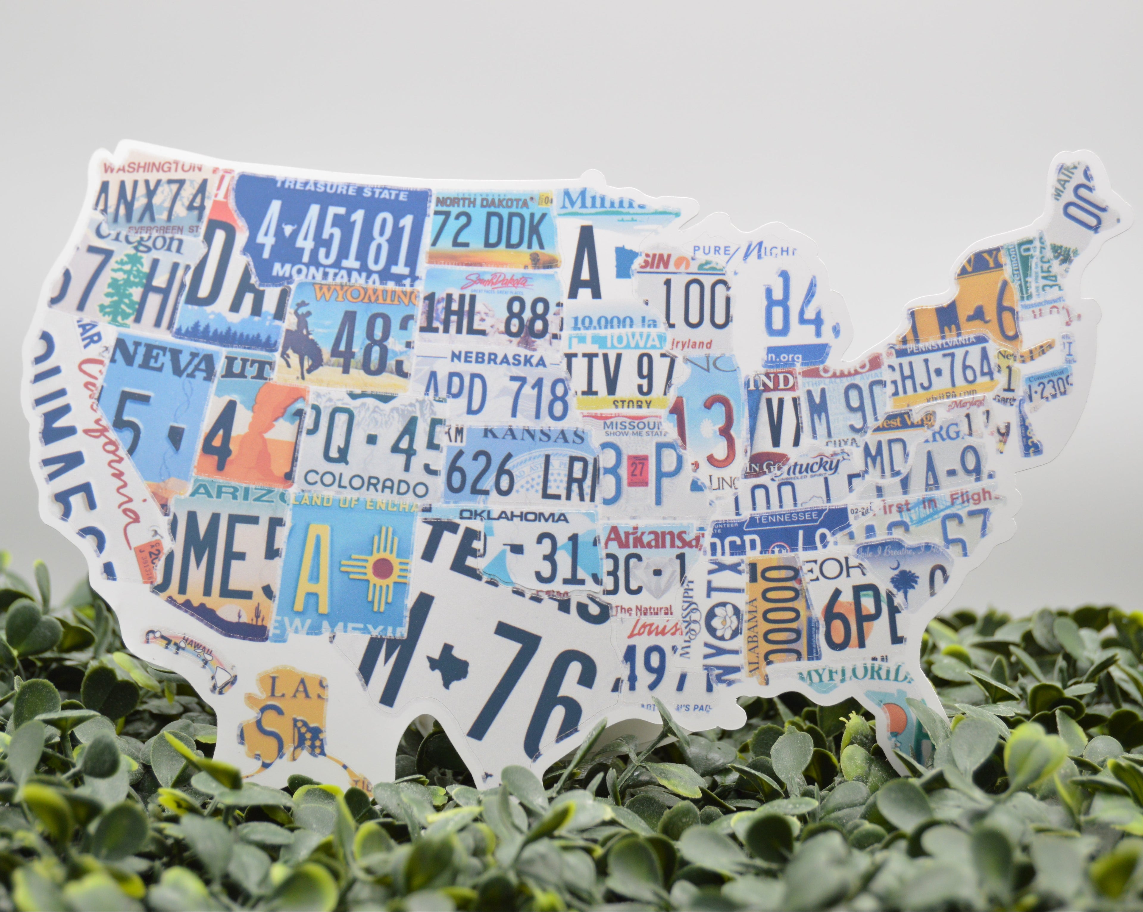 A decorative silhouette of the United States made from colorful state license plates, displayed on a bed of green foliage against a light gray background.