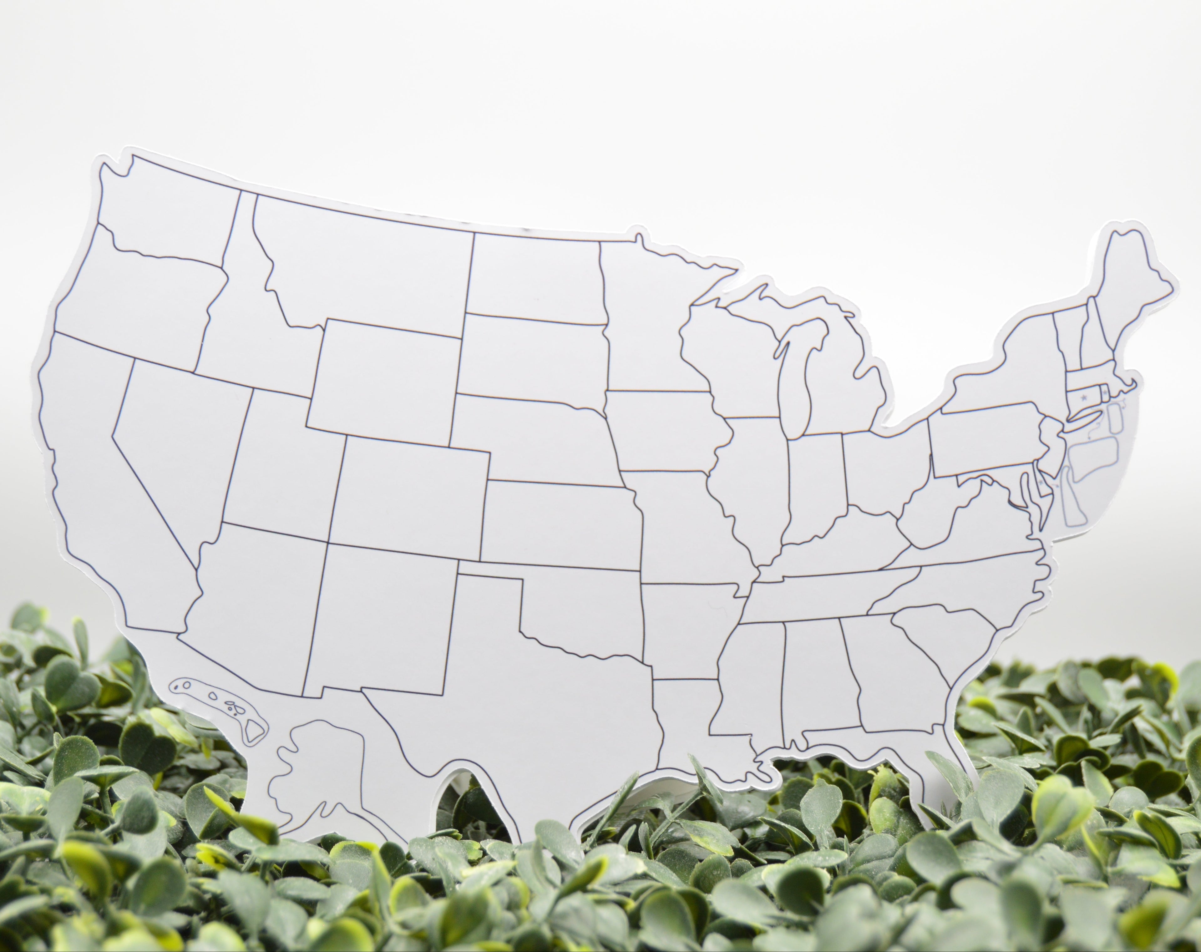 A white paper cutout map of the United States with thin black state borders, standing upright on a bed of small green leaves against a light gray background.