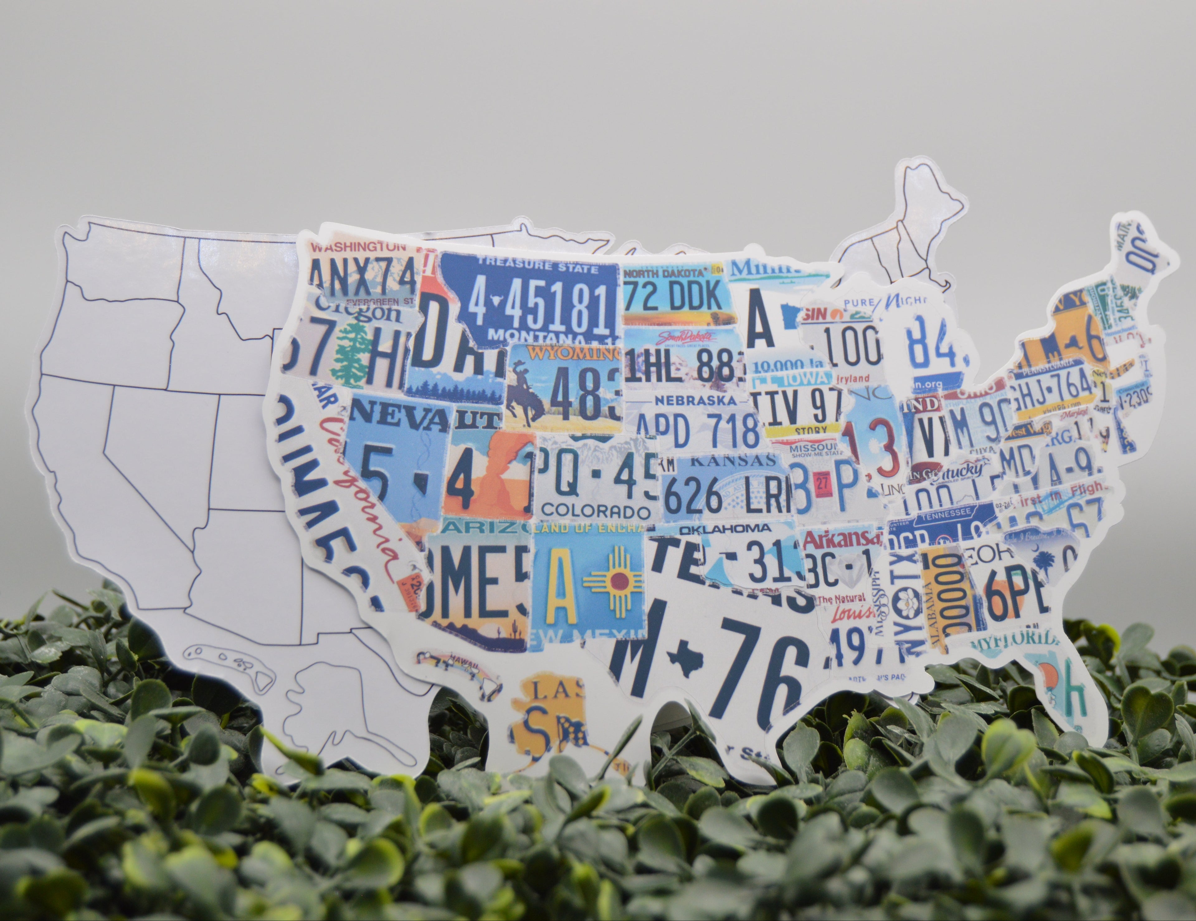 A white silhouette map of the United States filled with colorful vintage license plates, displayed on a bed of green foliage against a light gray background.