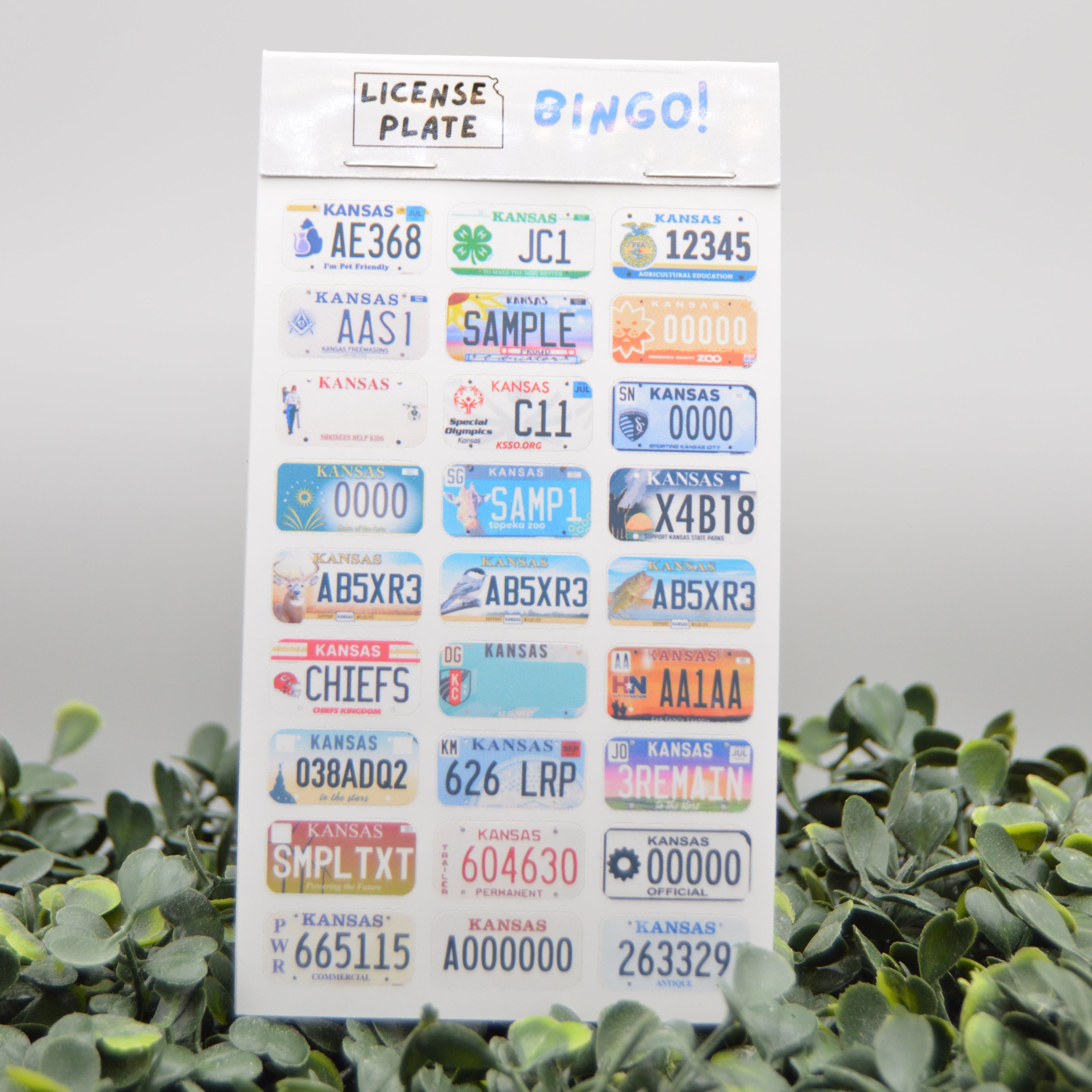 A sheet of novelty license plate stickers displayed upright on green foliage against a light gray background. The sticker sheet has a white header that reads 'LICENSE PLATE' and 'DINGO!' with multiple colorful sample license plates printed below.
