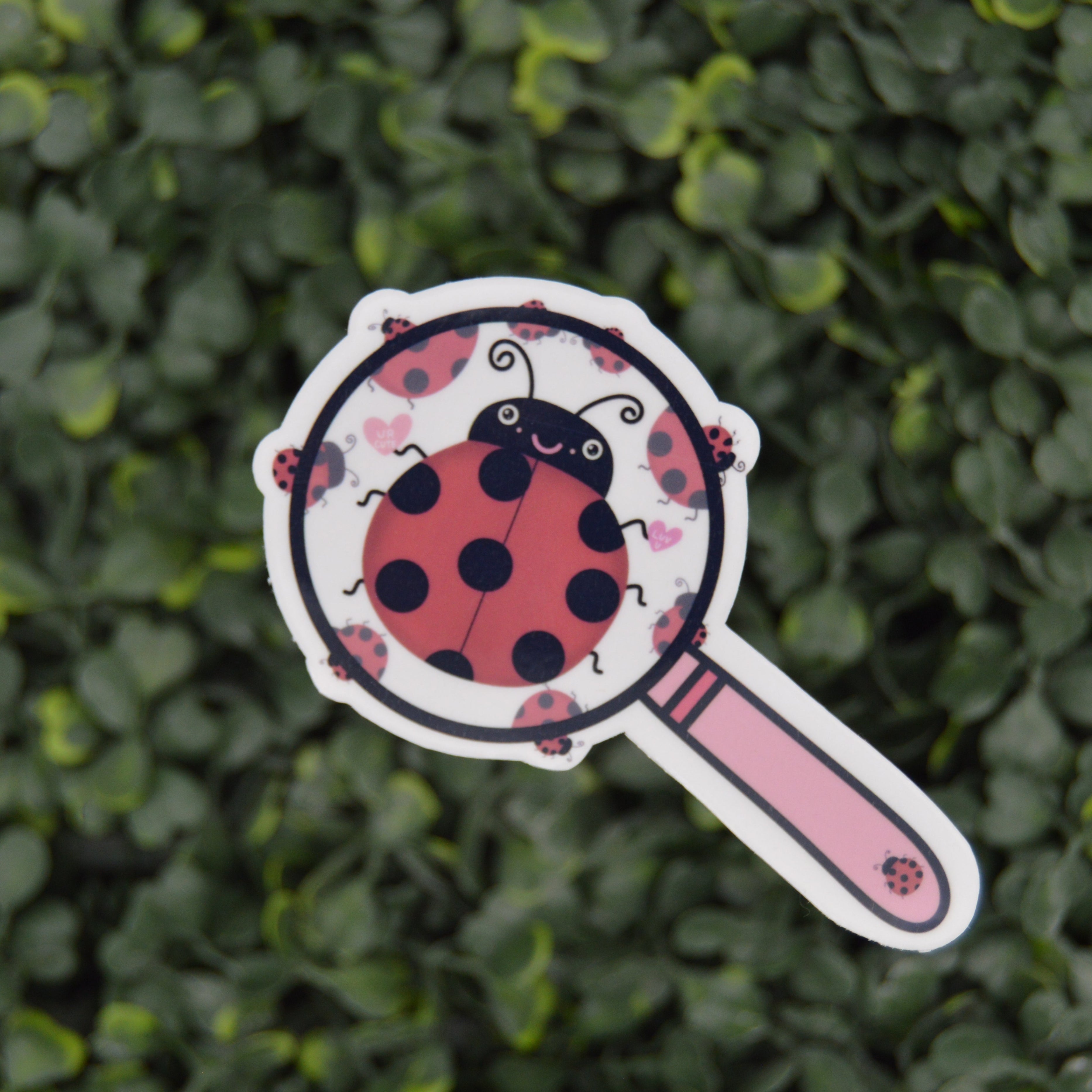 OMG! A Ladybug! Magnifying Glass Clear Sticker