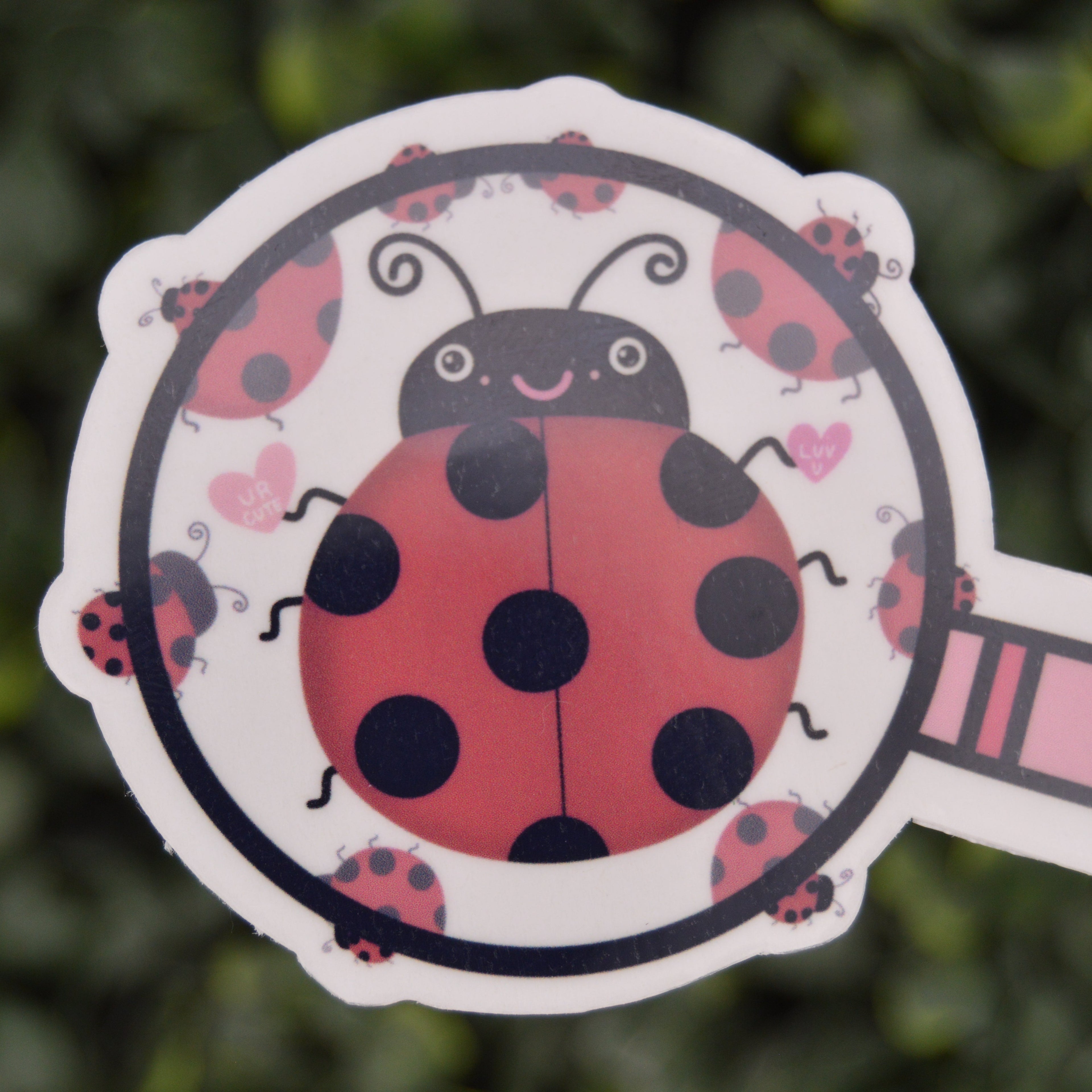 A close-up of a ladybug-themed magnifying glass sticker, featuring a smiling red and black ladybug inside a magnifying glass design with a pink handle, set against a blurred green background.