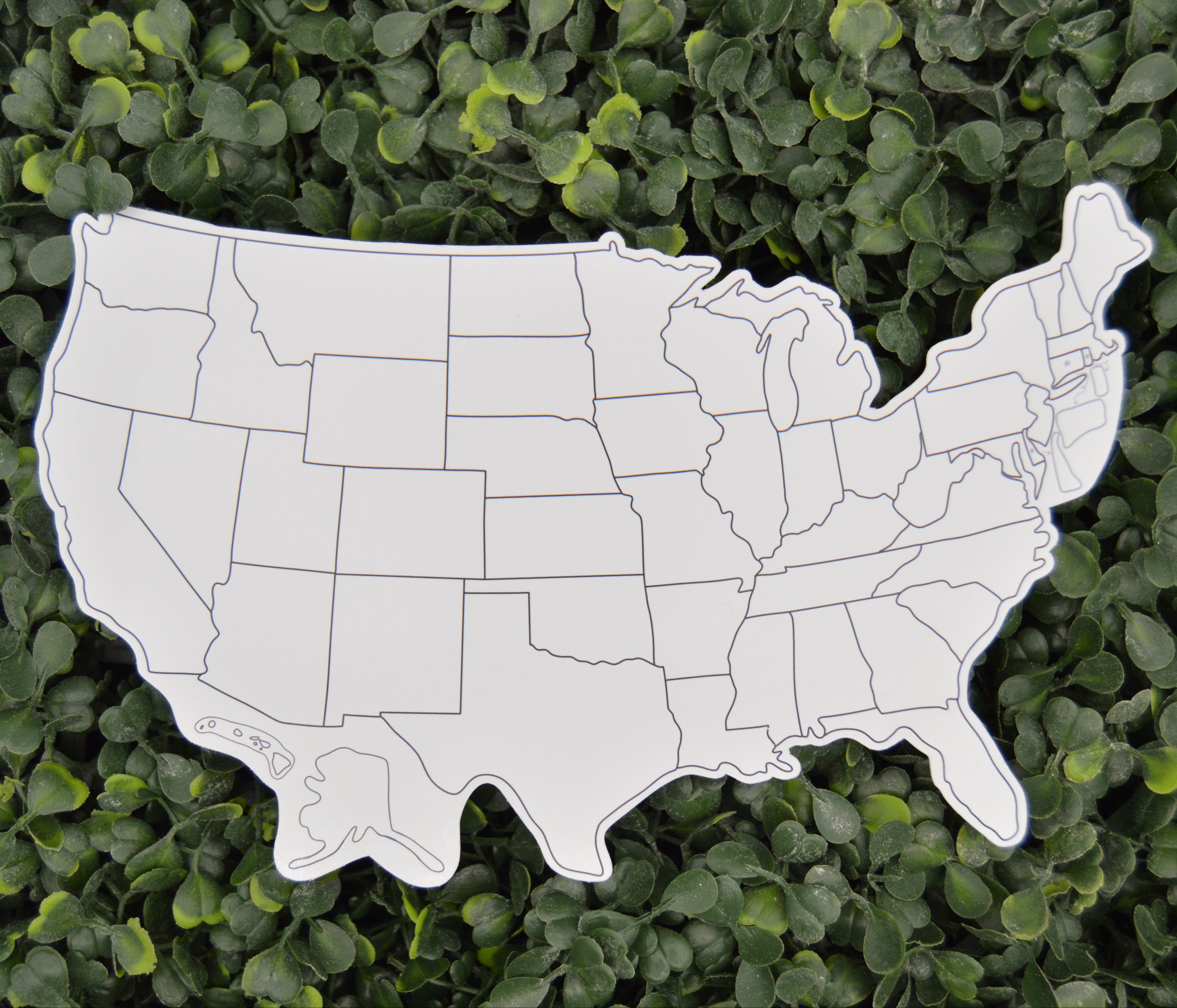 A white die-cut map of the United States with black state outlines, photographed from above against a dense green leafy hedge background.