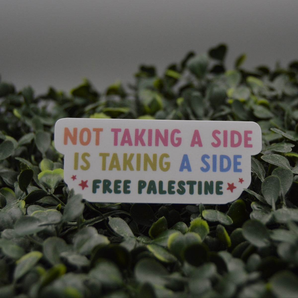A rectangular white sticker with the text 'NOT TAKING A SIDE IS TAKING A SIDE FREE PALESTINE' in multicolored letters, placed on a bed of green artificial foliage against a dark gray background.
